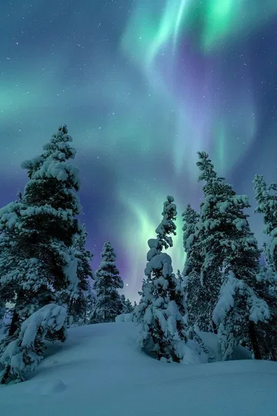 A Christmas themed northern lights adventure