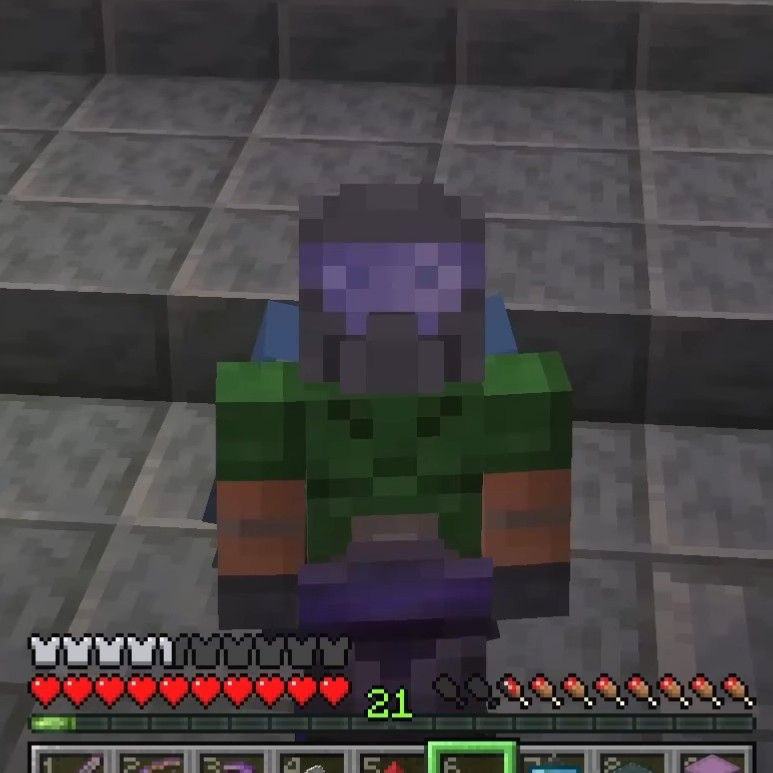 Xisuma Void