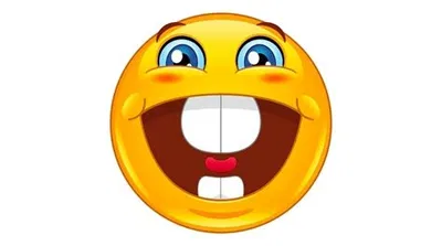 15 FOLLOWERS 