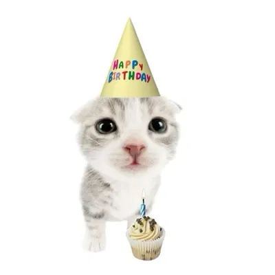 ITS MY B-DAY