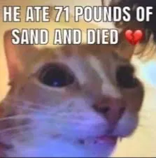 ermm...