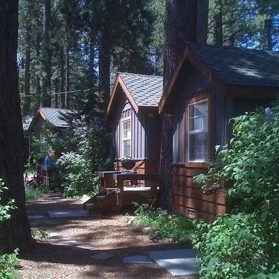 Moonlit Summer Camp | Summer Camp for the Troubled