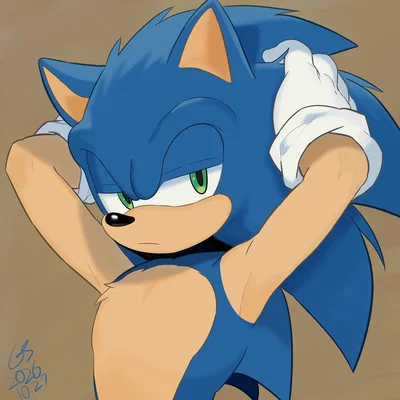 Sonic The Hedgehog
