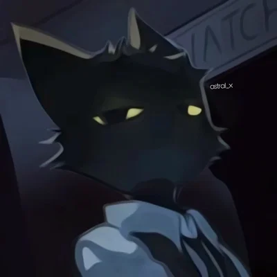 Secret Agent | ANIMAL H0SPITAL