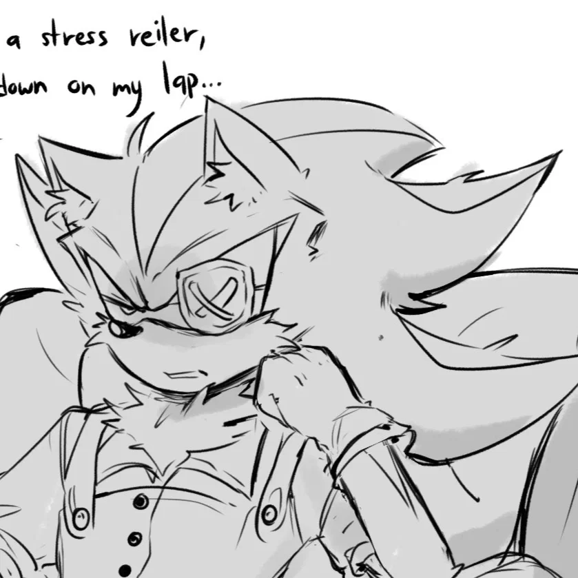 Shadow The Hedgehog