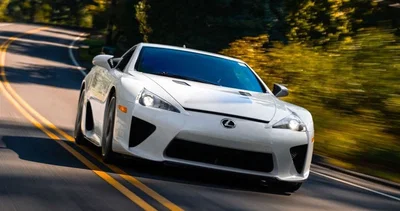 Cocky Lexus (I'm back yall)