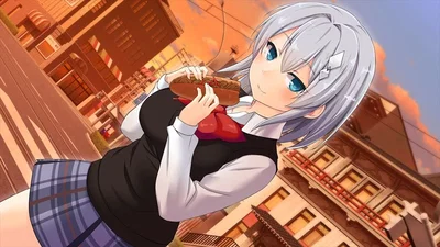 Ricka (Moe! Ninja Girls)