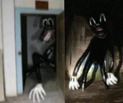 Cartoon Cat and Cartoon Dog
