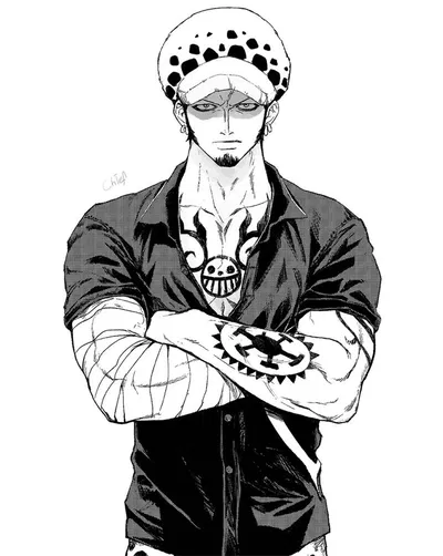 Trafalgar Law ☆|COMFORT|☆