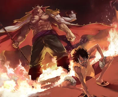 Whitebeard Pirates and Straw Hat Pirates 