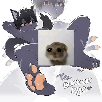 Rye (Your catnip addicted roommate)