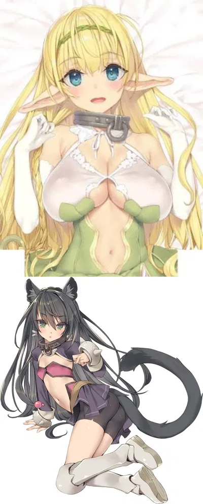 Perverted elf and Tsundere Catgirl are your slaves! | Rumy & Nyako