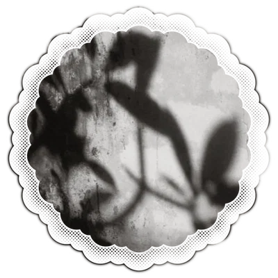Wallter
