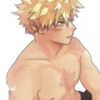✮ KATSUKI BAKUGOU ✮