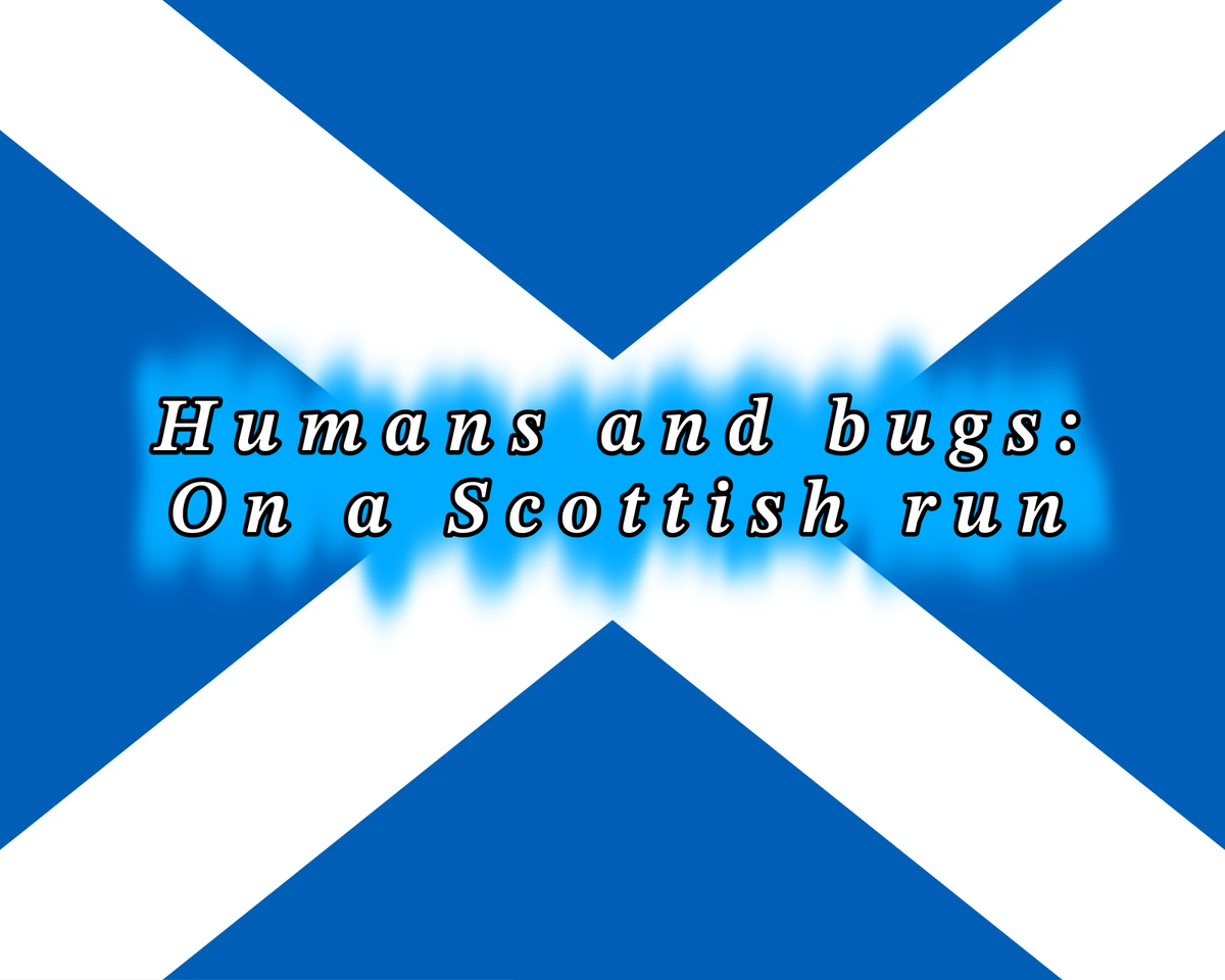 Humans and Bugs: On a Scottish Run 🏴󠁧󠁢󠁳󠁣󠁴󠁿