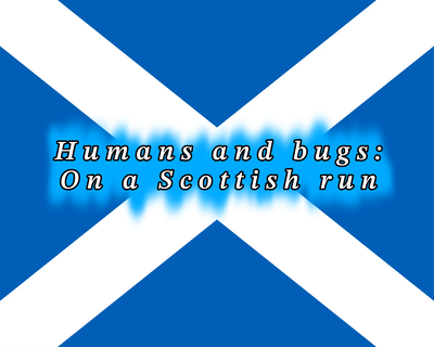 Humans and Bugs: On a Scottish Run 🏴󠁧󠁢󠁳󠁣󠁴󠁿