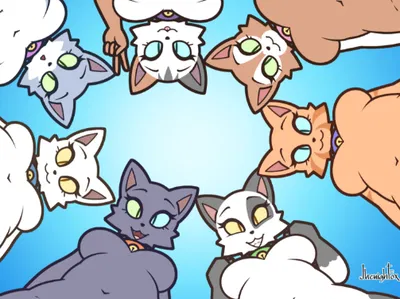 Group of Gassy Cats