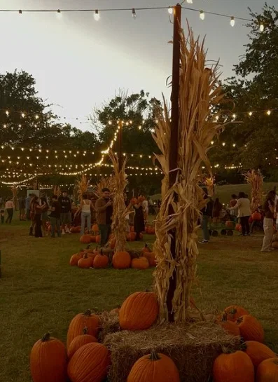 Bob Reynolds - Halloween Fest