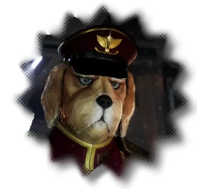 ⋮ ⌗ ┆ GENERAL PEPPER