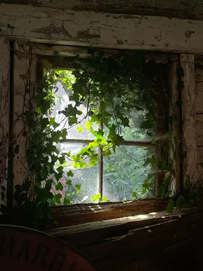 Zombie apocalypse — A new world of hurt