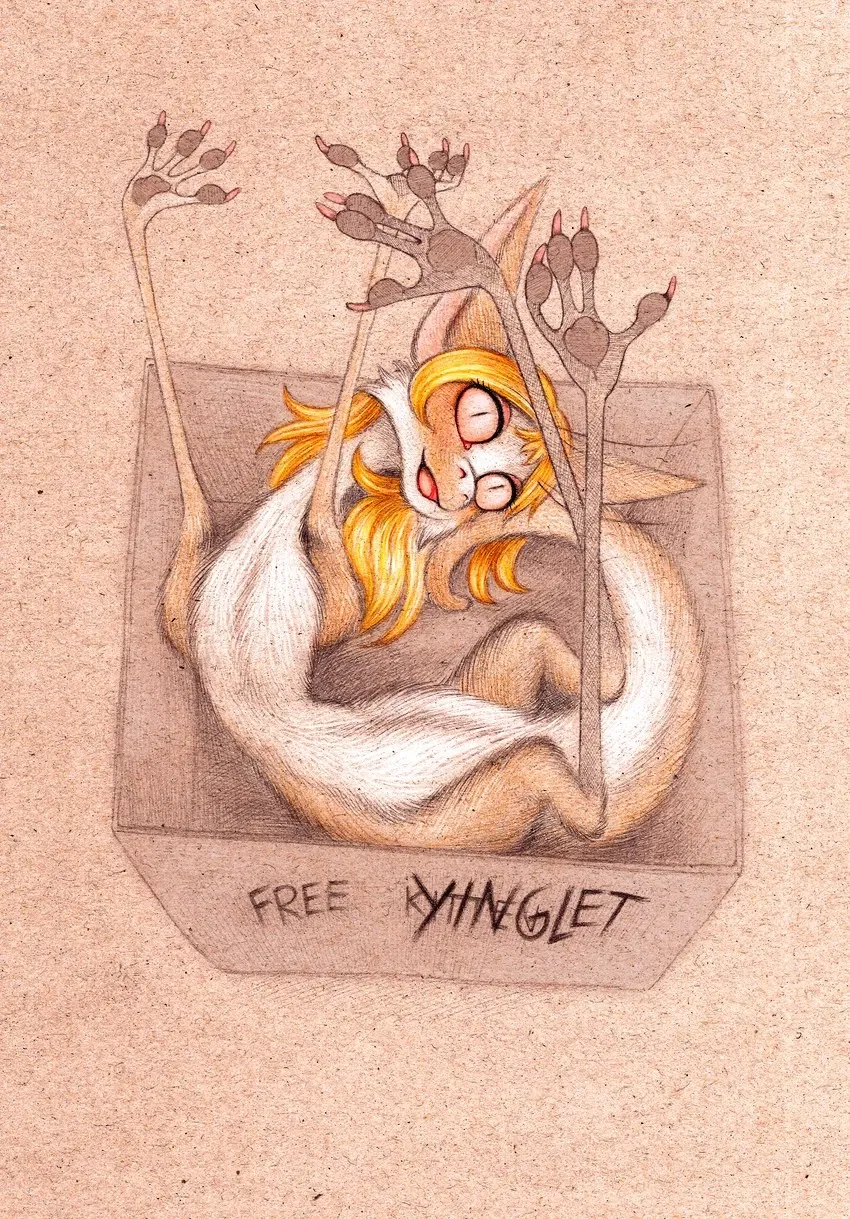yinglet Ina box