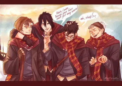 The Marauders