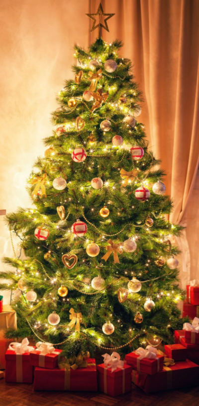 Weasley Christmas