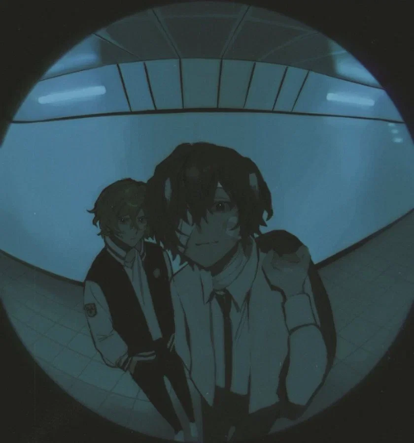 ※ Dazai & Chuuya ¦ BSD ※