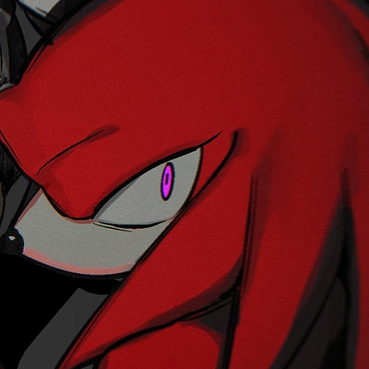  ̊+۶ৎ ̇⋆ STALKER | Knuckles The Echidna