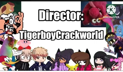 Tigerboy Cracktown
