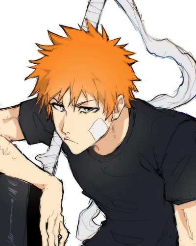 Ichigo Kurosaki | Getting battle ready 