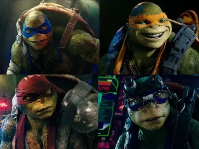 BAYVERSE | Raphael, Leonardo, Michelangelo, Donatello