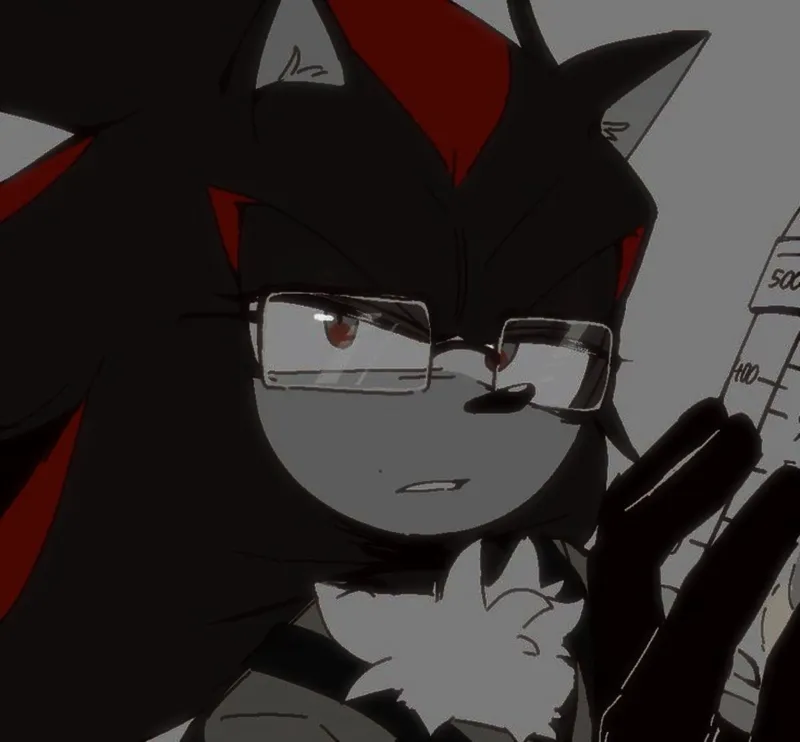 Shadow the hedgehog 