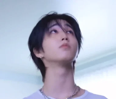 Han Jisung - A wild ride