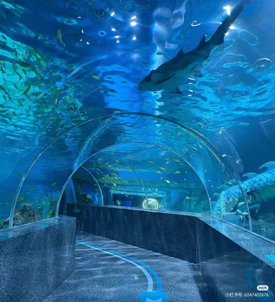 Aquarium