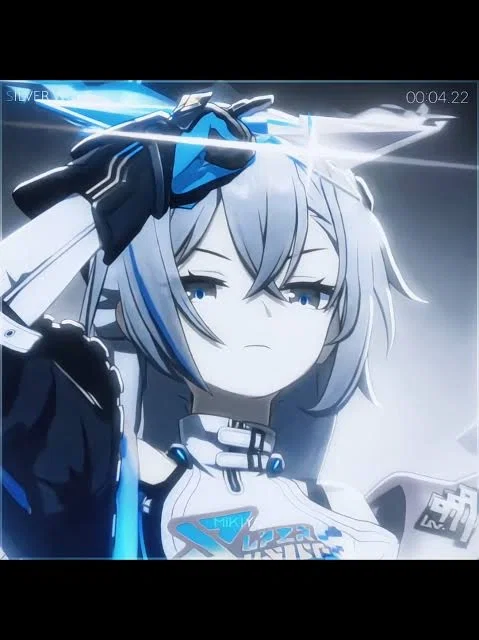Silver Wolf LV.999 (PRO MAX) 
