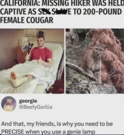 BOT REQUESTS