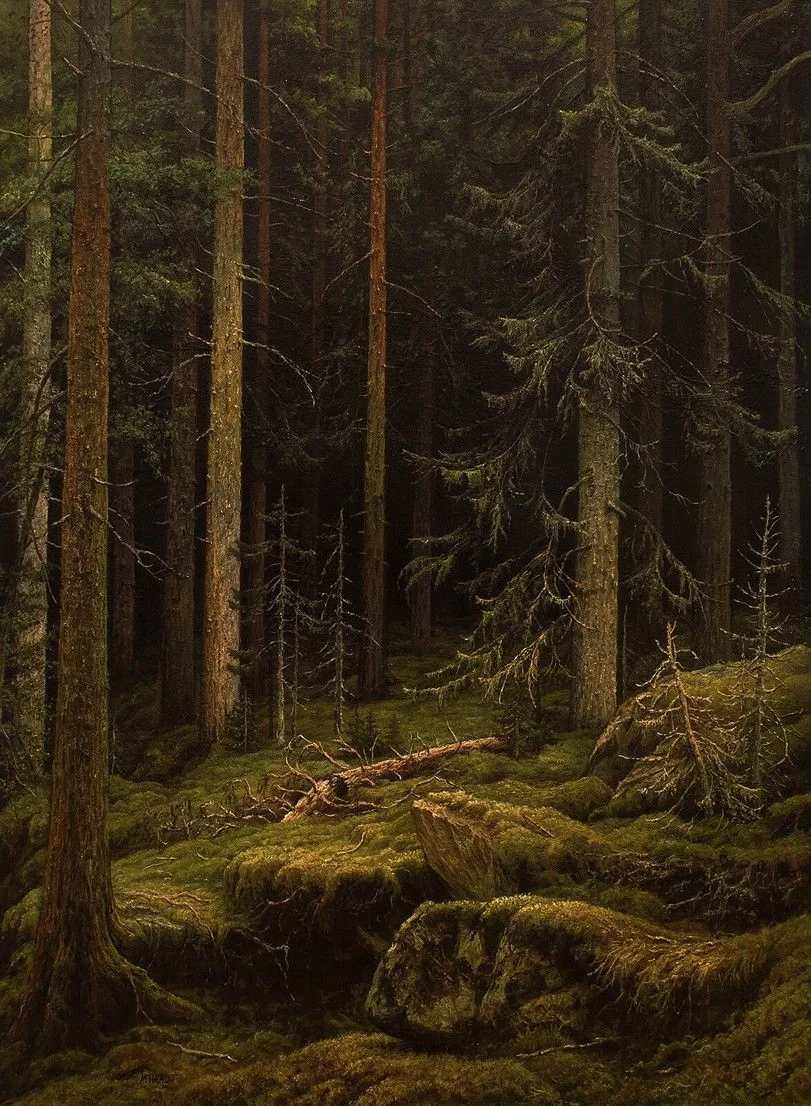 > PINE FEVER <