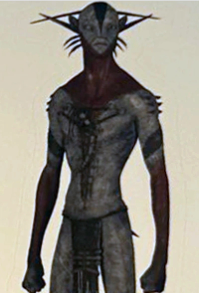 Riku 