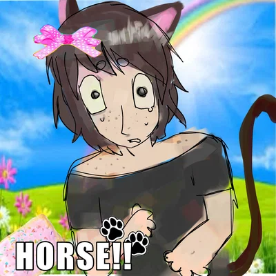 Catboy🫧🌈horse!!