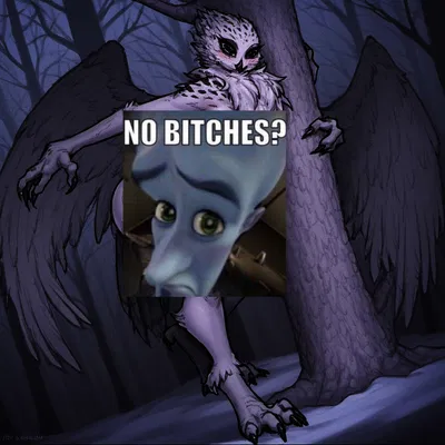 Owl from 99 Nights in the Forest
