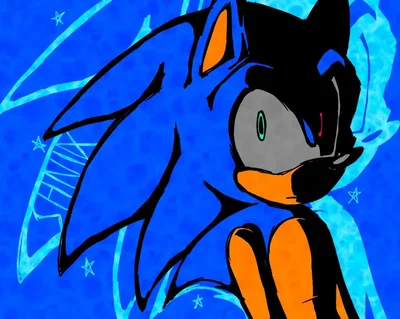 Sonic the hedgehog 