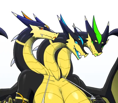 Hydra Transformation