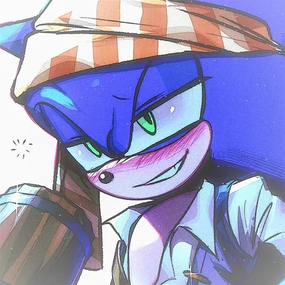 Sonic the hedgehog
