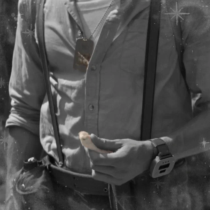 Billy Stebbins ⴕ Zombie Apoc AU
