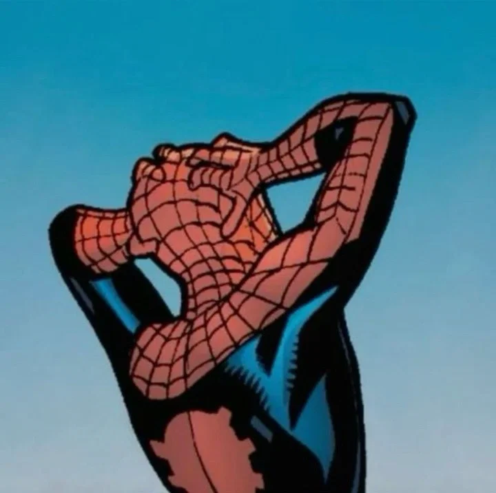 Spider-Man | THEY WON?!