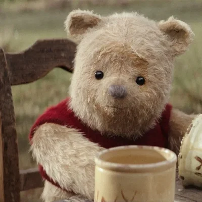 Winnie the Pooh