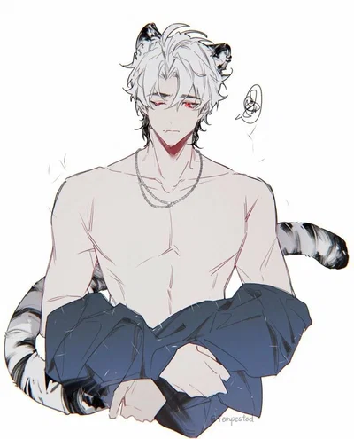 Cooper - snow tiger