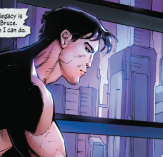 Dc Terry McGinnis