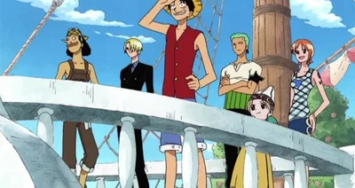 : Straw Hat Pirates | The Marine